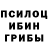 Галлюциногенные грибы GOLDEN TEACHER Nurbek Juraev