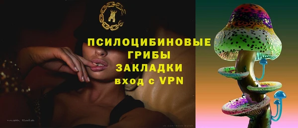 мет Арсеньев