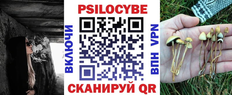 Псилоцибиновые грибы GOLDEN TEACHER  Валдай 
